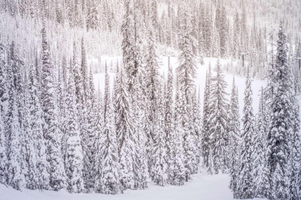 Willa Shadowbrook 303 Snowmass Village Zewnętrze zdjęcie